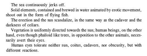 fegfewr:Georges Bataille, The Solar Anus