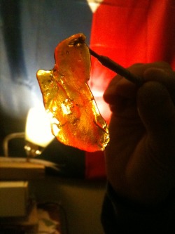 hellllagood:  Animal cookies shatter 