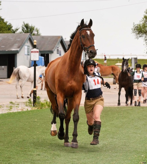 When Pony Club jogs are too boring for Leo