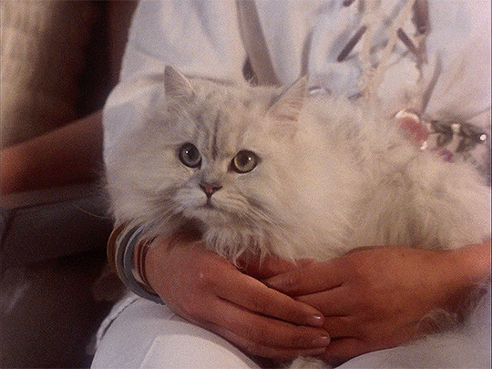 myellenficent:  Hausu (1977) Dir. Nobuhiko Obayashi