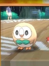 yourmajestyred:  gallowsgirl:  Would you like to make a donation to the museum?  Oh my god I saw that Pokemon and was instantly like: I’m going to call him Blathers if he’s male and Celeste if it’s q girl☺️
