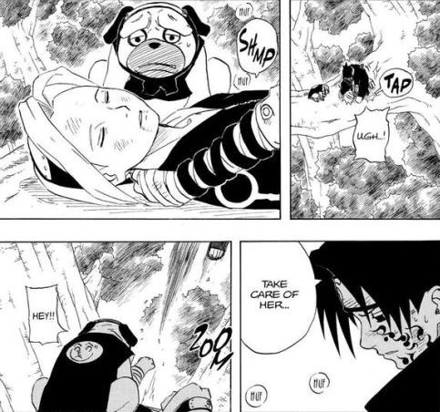 Sasusaku Vs Haters