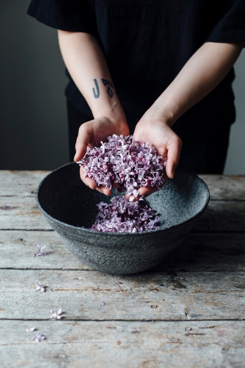delta-breezes:Lilac Syrup | Our Food Stories