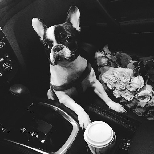 tumblr photo a-little-p1ece-of-heaven 0