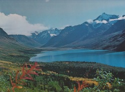 retrospectia:From One Man’s Wilderness: An Alaskan Odyssey, 1973.