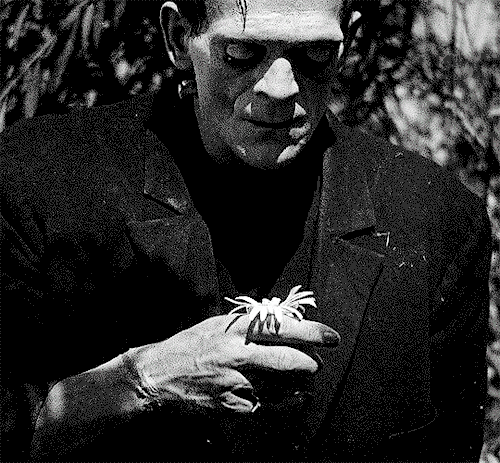 FRANKENSTEIN1931 | Dir. James Whale 