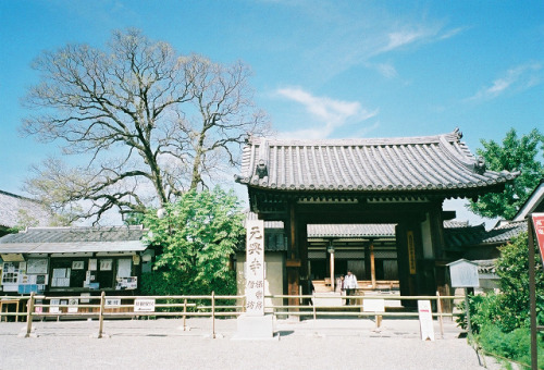 元興寺 3枚目は、日本最古・飛鳥時代の瓦を撮ったもの。 遥かな時を超えて、実際目の前にすると、とても不思議な気持ちになるのでした。