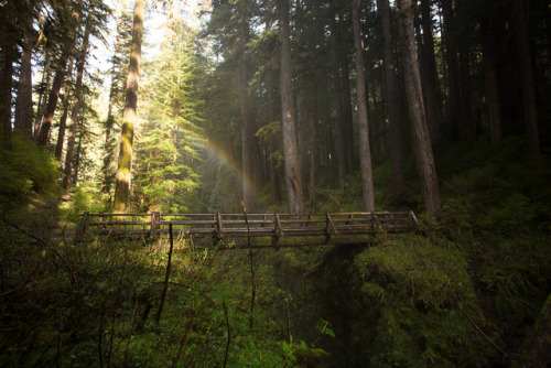 lobo-de-luna:Sol Duc Falls