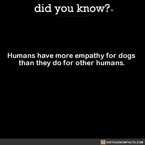 Humans have more empathy for dogs than they do for other humans. (Source)