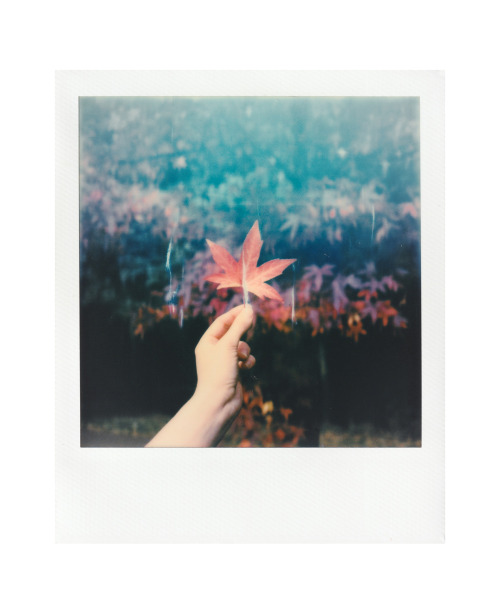 Naomi holding an autumn leaf we found on one of our walks04/10/2018Polaroid X-70