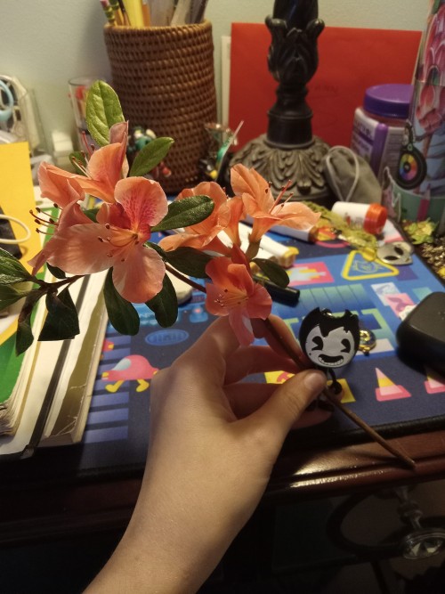 I Was Given This Flower