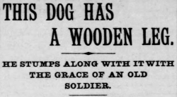 yesterdaysprint:   St. Louis Post-Dispatch, Missouri, June 28, 1896   