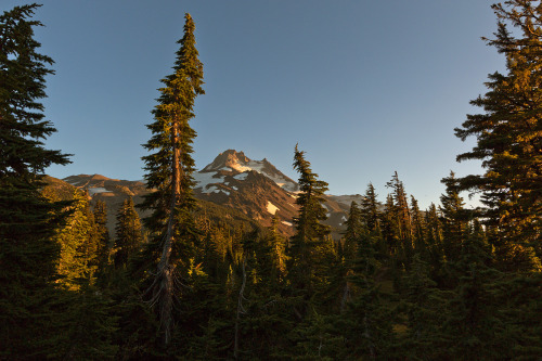 mikescofield:  Jefferson Park - Oregon This season I’ve been avoiding the popular hikes, favoring solitude over jaw dropping beauty, but Jefferson Park is one hike that I’ll make an exception for just because it’s so damn beautiful. It’s stupid
