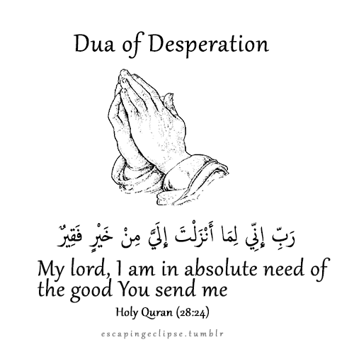 islamic-quotes:More islamic quotes HERE