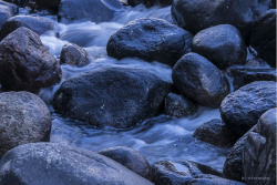 riverwindphotography:  In the Blue Shadows: