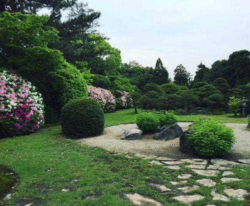 ＼おにわさん更新情報／ ‪[ 福岡県久留米市 ] 遍照院庭園 Hensho-in Temple Garden, Kurume, Fukuoka の写真・記事を更新しました。 ーー昭和の有名庭園研究家 