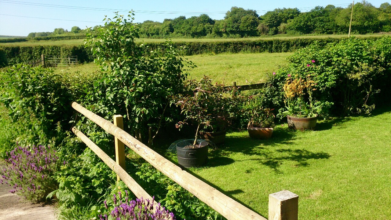 Sunday morning sunshine in Burghclere.