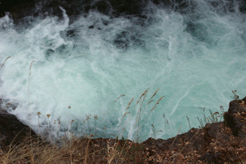 ellacalm:  hayley.riggins