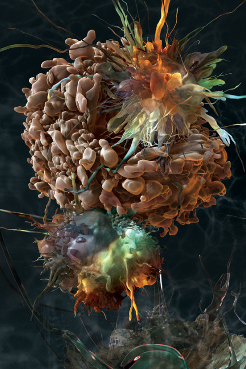 jewsee-medicalstudent:The death of a cell.This picture is an amazing 3D illustration of apoptosis. T