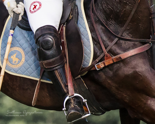 beautifulklicks - Svetlana RyazantsevaHorse polo. Moscow Polo...