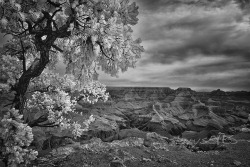 Yaki Point Sunrise on Flickr. BW Infrared-jerrysEYES