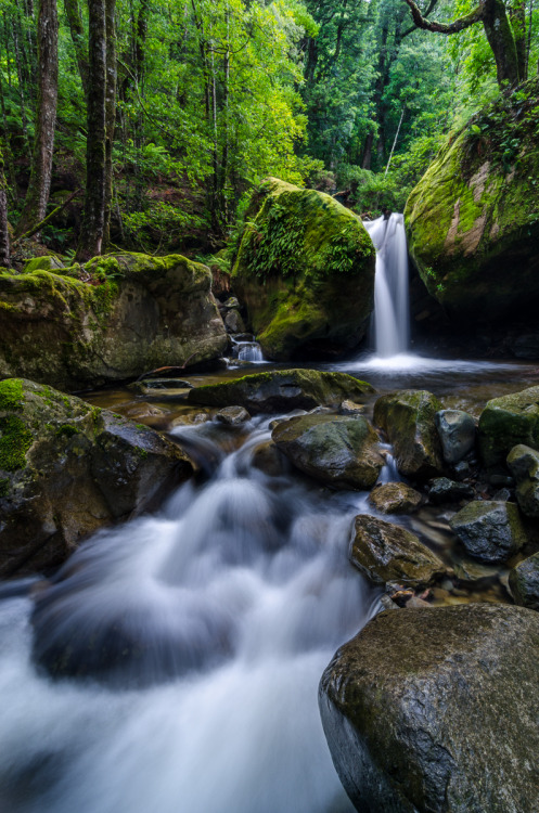 mirroredphotography: I’m leaving Tasmania tomorrow.. already planning to come back in winter t