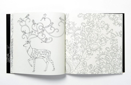 ultrafacts:  Basford’s beautiful books, which can be found on Amazon, are full