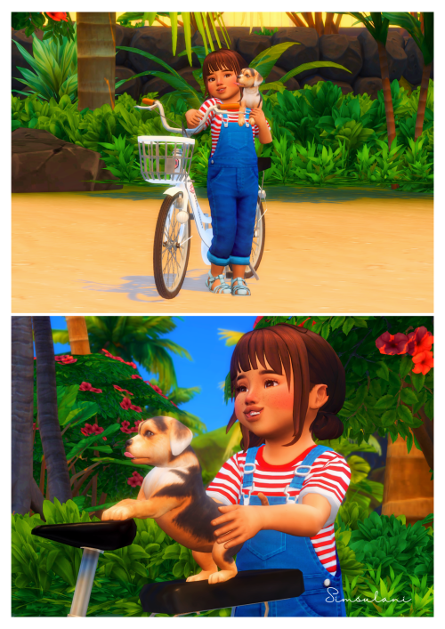 hellosimsulani: #232 Pose Pack - A little Puppy (free 14 May 22) 6 POSESAndrews Pose Player  Telepor