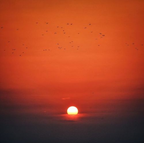 夜明けの羽ばたき。
ー
#my_eos_photo #eos5dmark4 #70200f4l #line_and_points #スクリーンに恋して #sunrise
https://www.instagram.com/p/ByY9A-MAczX/?igshid=1i27jtuhg21rb