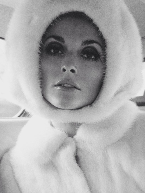 Sharon Tate In A Halston Hat For Harpers BazaarPhotographed By Neal Barr, 1967