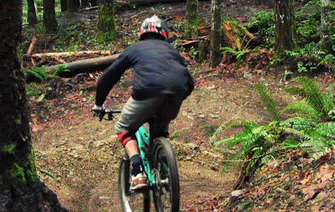 exploretheworldwithextremesports:  Downhill Like A Pro  Best Extreme Blog Is HERE 
