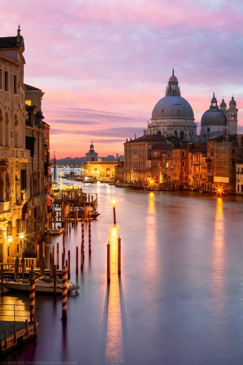 Basilica di Santa Maria della Salute, Portrait, Venice, Italy by Joe Daniel Price on 500px