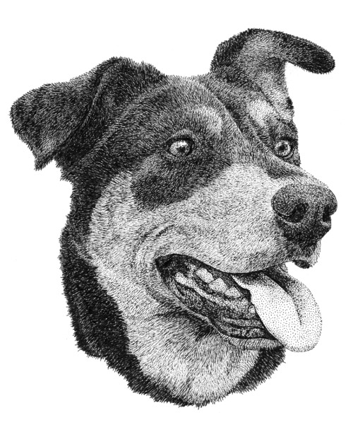 Brycepart of my dog portrait series.
