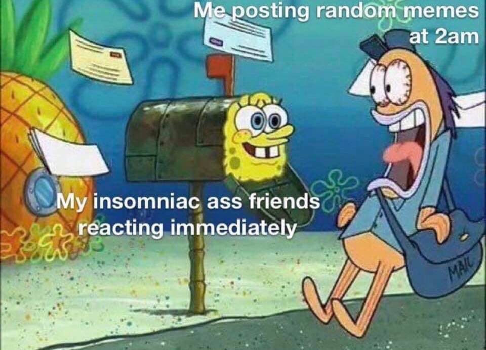 dankmemeuniversity: