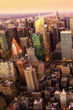 plasmatics:  NYC by Adriano Saccio  