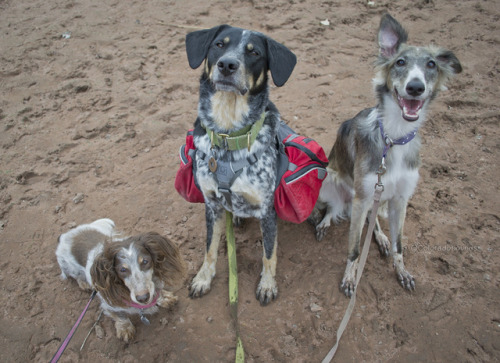 We got stuck in the mud and it was gross and dirty.Korra LOVES gross and dirty.