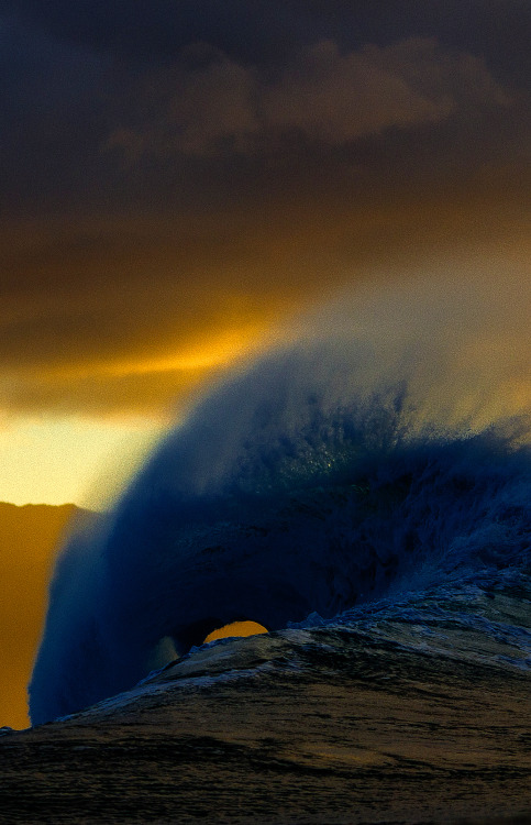 aspworldtour: What will tomorrow bring… Official Surfline 2014 Billabong Pipe Masters Forecast Phot