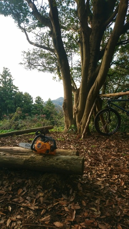 krs955:trail work, trail ride.