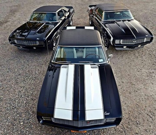 HOT GM CARS