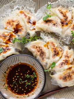 foodffs:    Pan-fried Gyoza with a Crispy Lattice Coating: juicy on the inside, crispy on the outside! Just as delicious as restaurant-made without the expensive price! #Japanese food, #Japanese recipe, #Gyouza, #Gyoza, #Japanese cooking, 