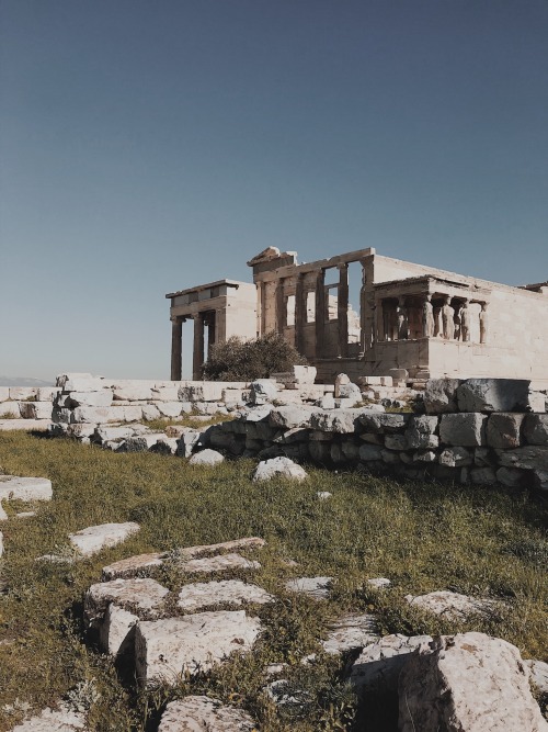 winedark: the acropolis of athens, january 2020.