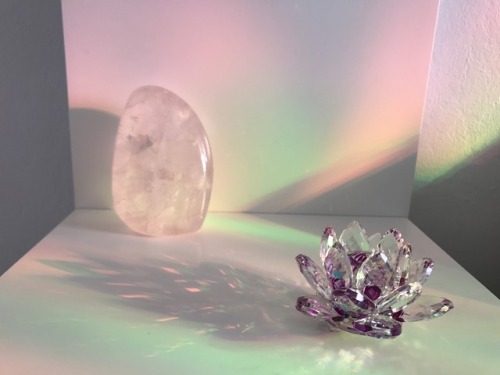 dharmawhimsy: the first rainbow morning in my new room &lt;3 for more like this: @dhar