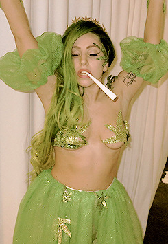 Paws Up