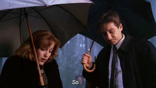 im mulder