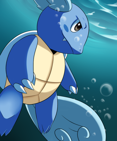 wartortle