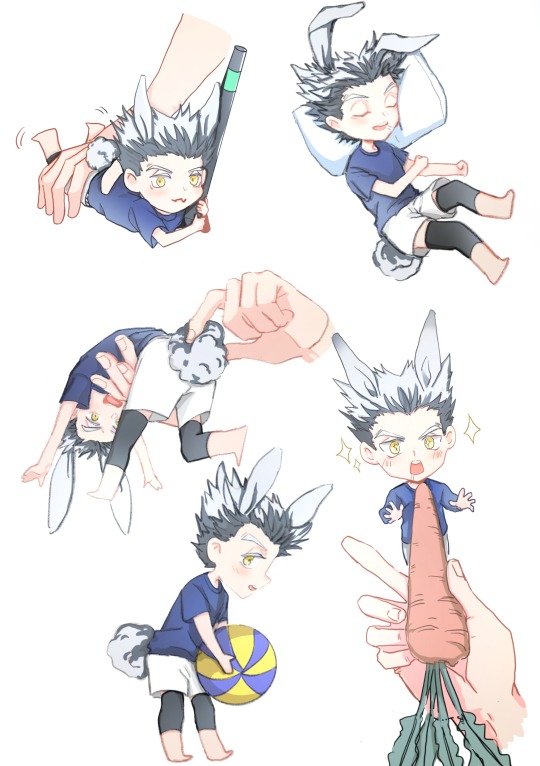 木兎光太郎 ハイキュー Explore Tumblr Posts And Blogs Tumgir