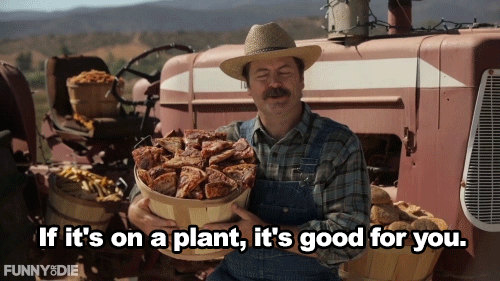 tastefullyoffensive:Video: Nick Offerman Shows Off His Pizza Farm