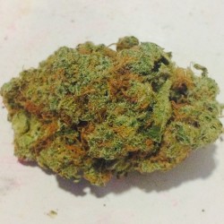 weedporndaily:  hairy nugs 4 daze by cannabisc0rii http://ift.tt/1oj1rZk