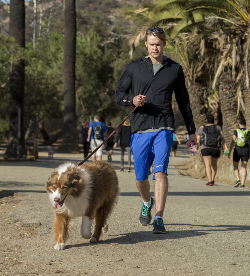 fyeahgleeclub:  Chord Overstreet Spotted Walking A Dog And Hydrating in LA 