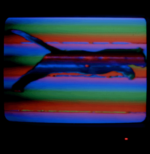 Laboratório